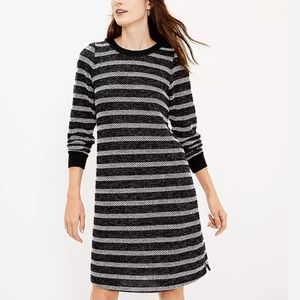 Loft Charcoal Gray Sweatshirt Shift Sweater Dress, Size S